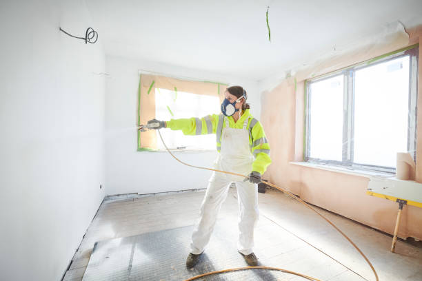 Best Environmental Consulting for Mold Prevention  in Booneville, AR