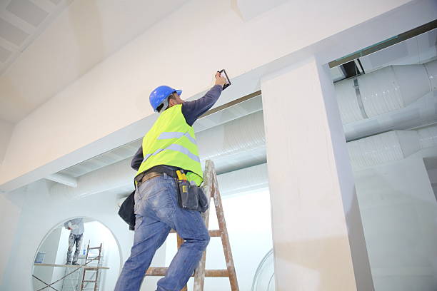 Trusted Booneville, AR Mold Removal Experts